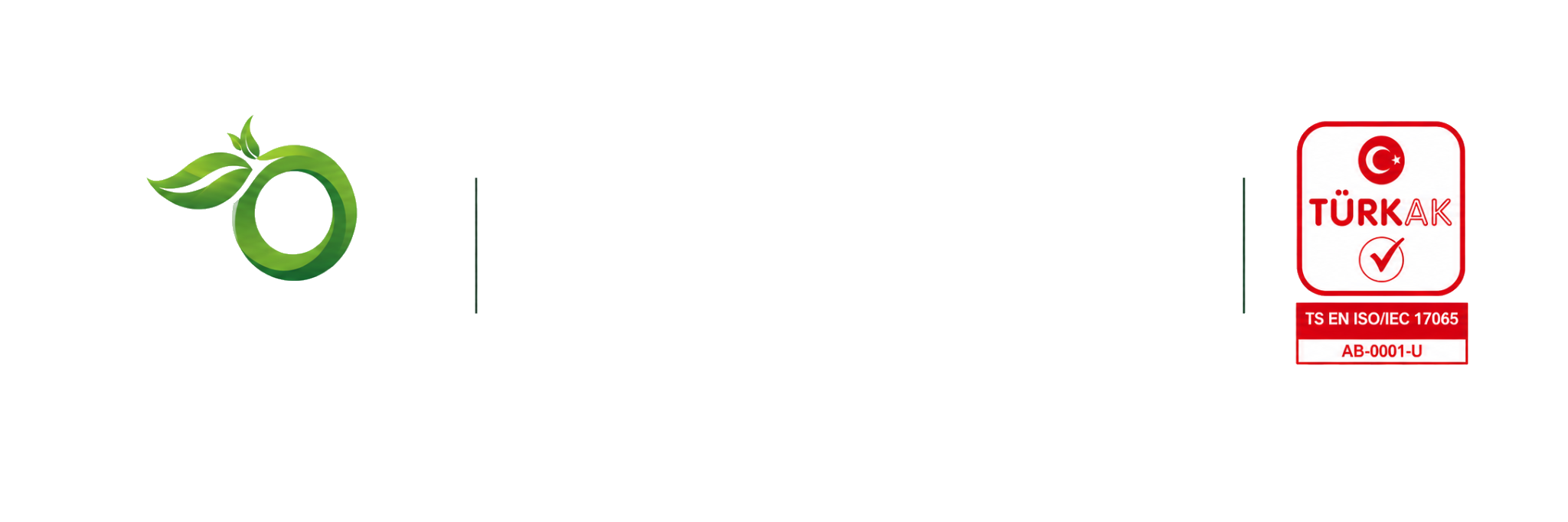Footer Logo