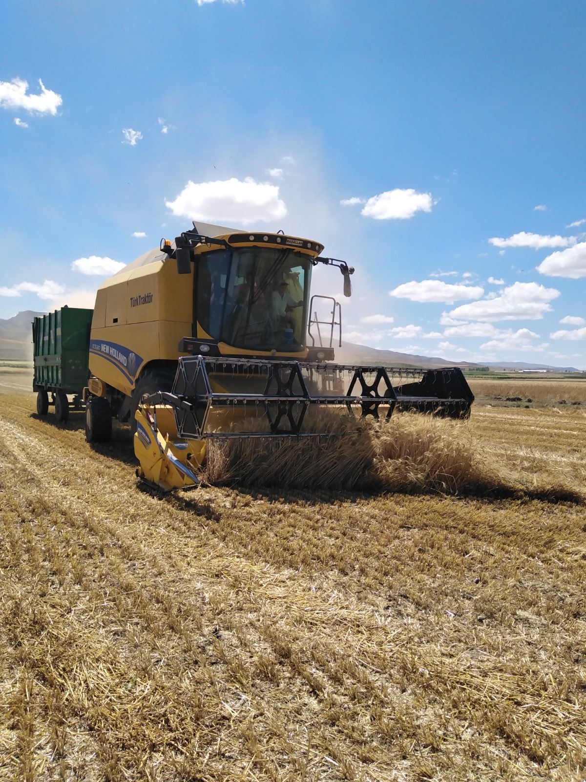 TR Organik Tarım Sertifikasyonu