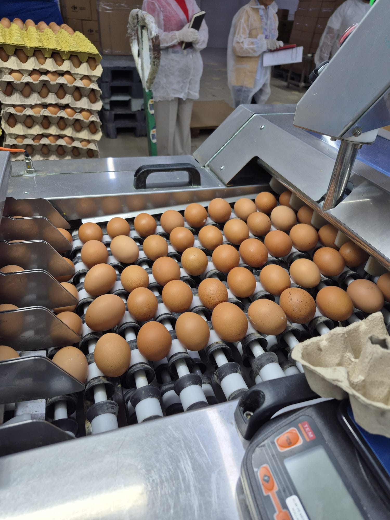 Organik Ürünlerin İşlenmesi, Ambalajlanması,Etiketlenmesi, Depolanması, Taşınması Ve Pazarlanması Sertifikasyonu